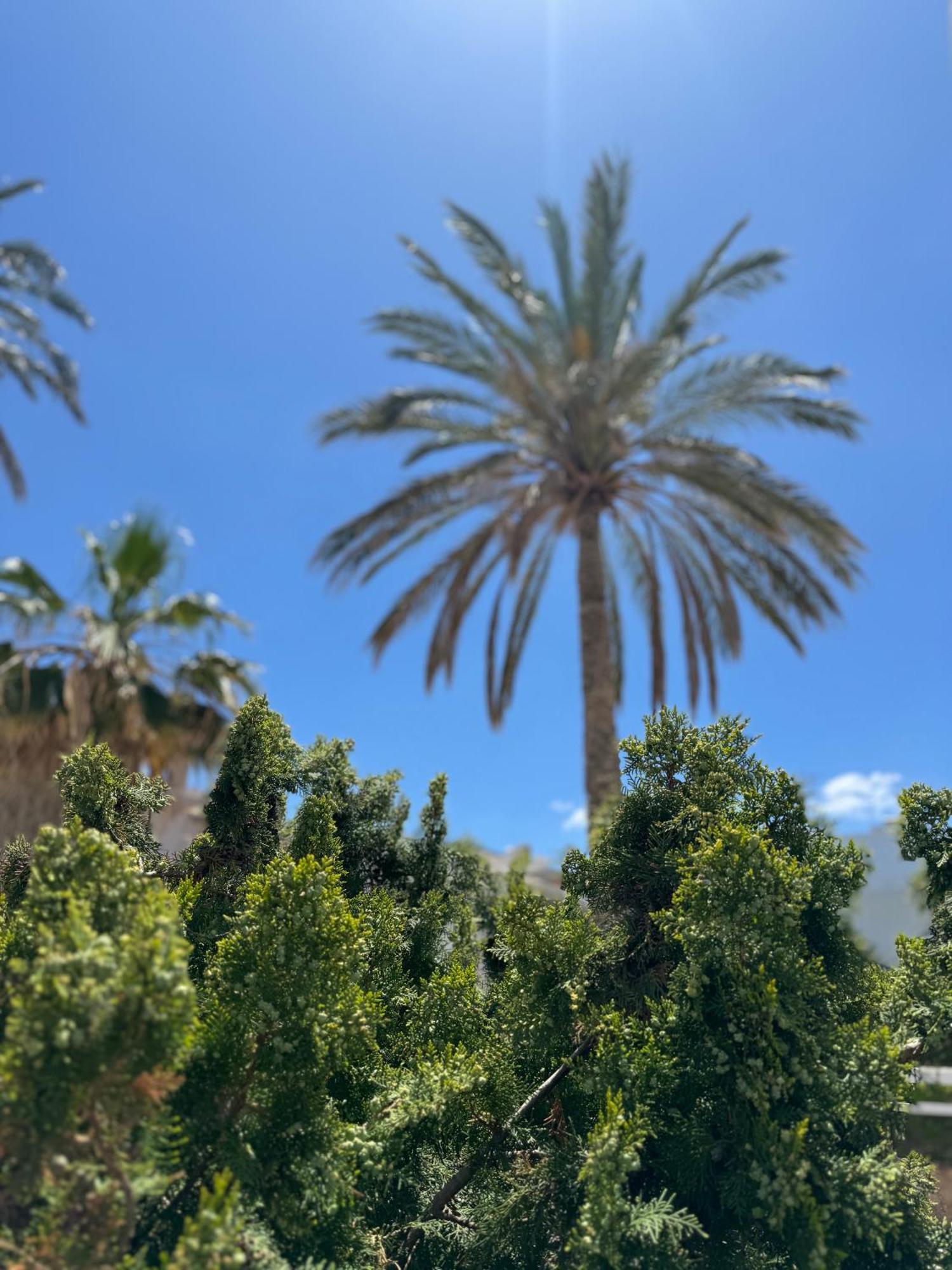 Simple Hotel Hersonissos Blue 외부 사진