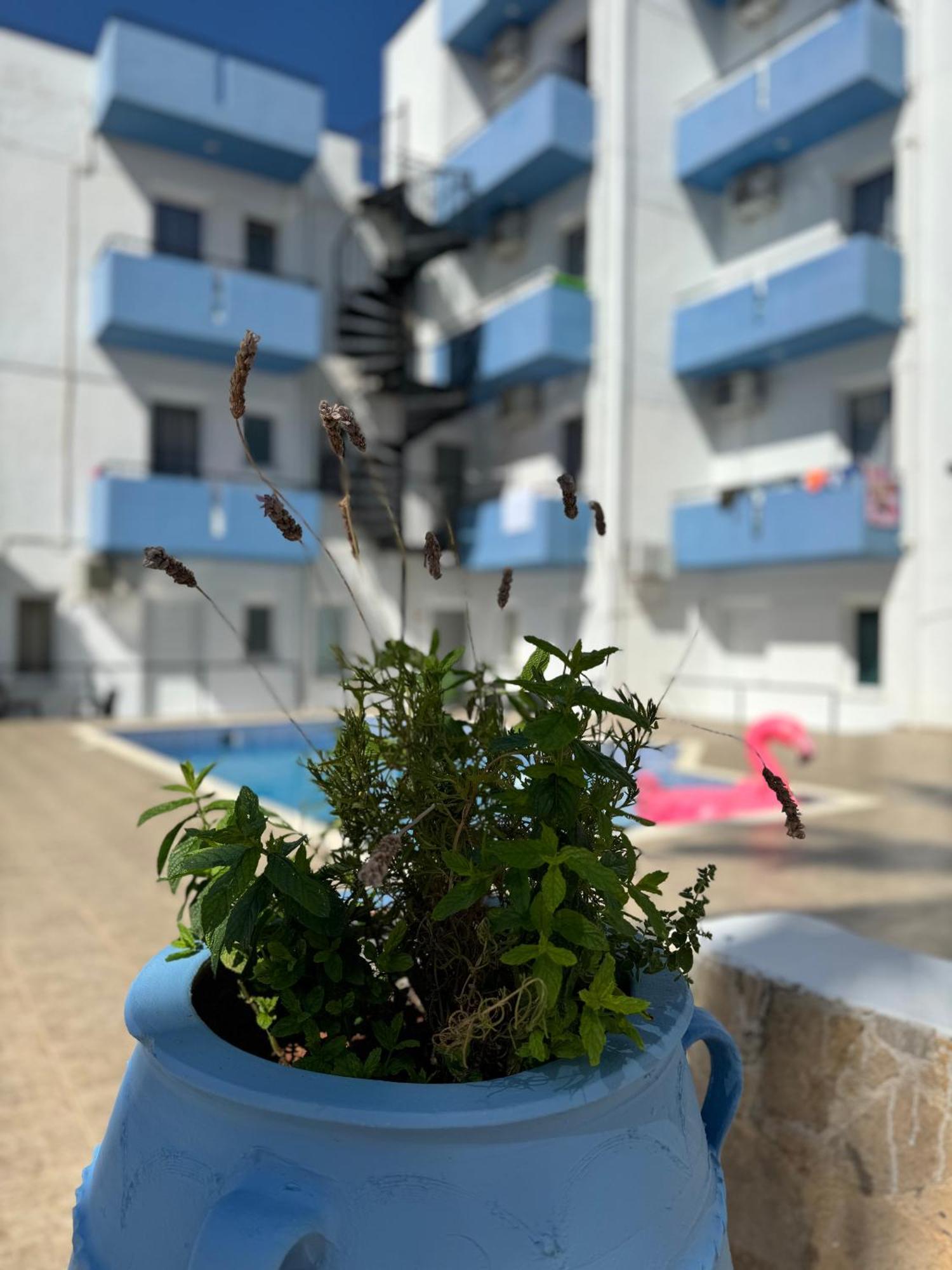 Simple Hotel Hersonissos Blue 외부 사진